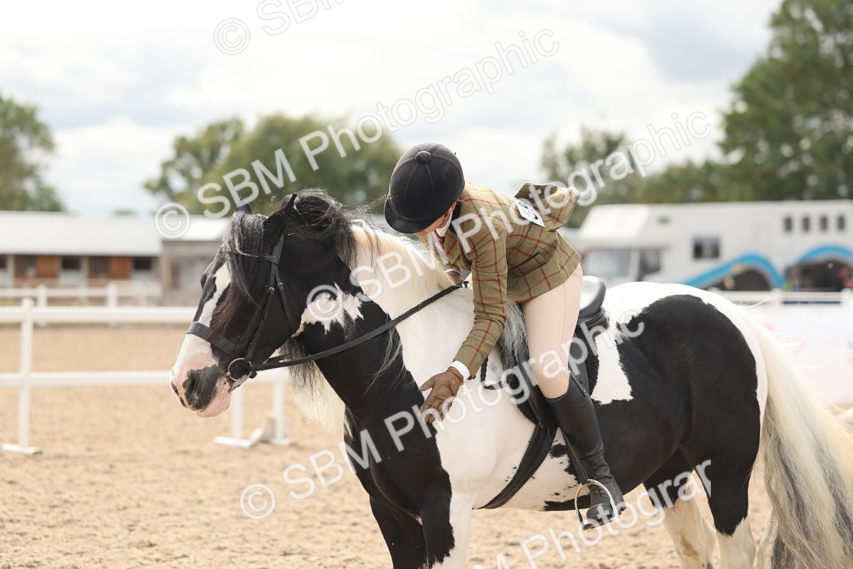 SBM_18059 - Class 314 - Family Horse Pony