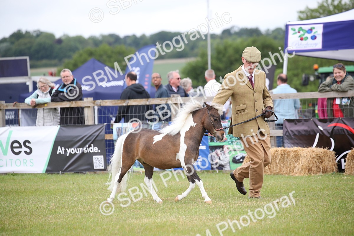 SBM_03912 - Class 23-25 - British Miniature Horse of the Year
