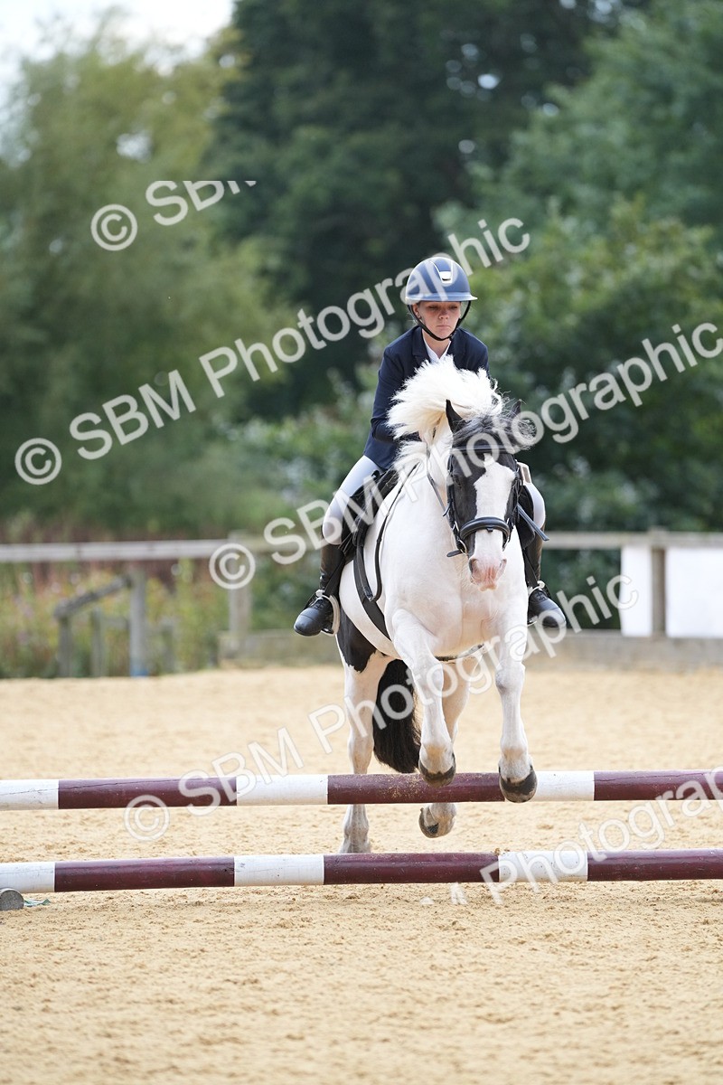 SBM_74805 - J4 - Mini Tour Junior Pony 45cm Championship