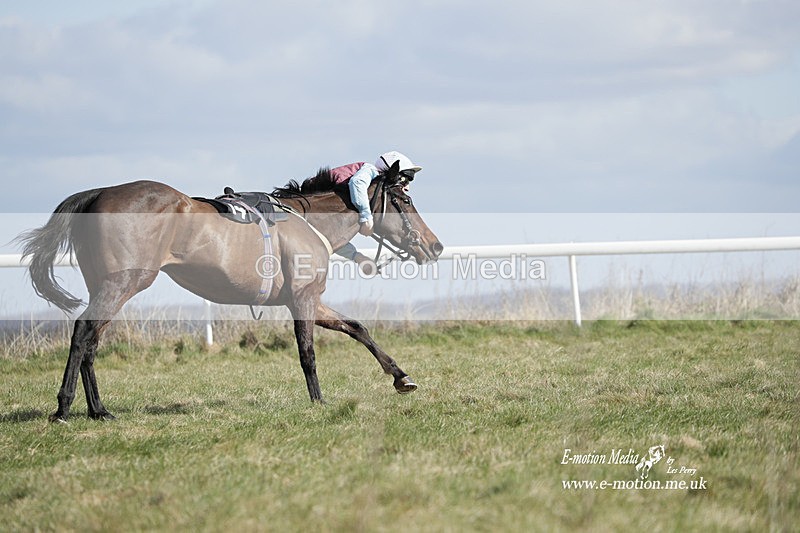 PtP 260223 500 - South & West Wilts Point-to-Point Larkhill 26/02/23