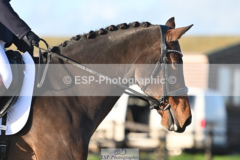 231105-151125-03017 - Cls 4 Novice 24 15.24 to 16.35 break