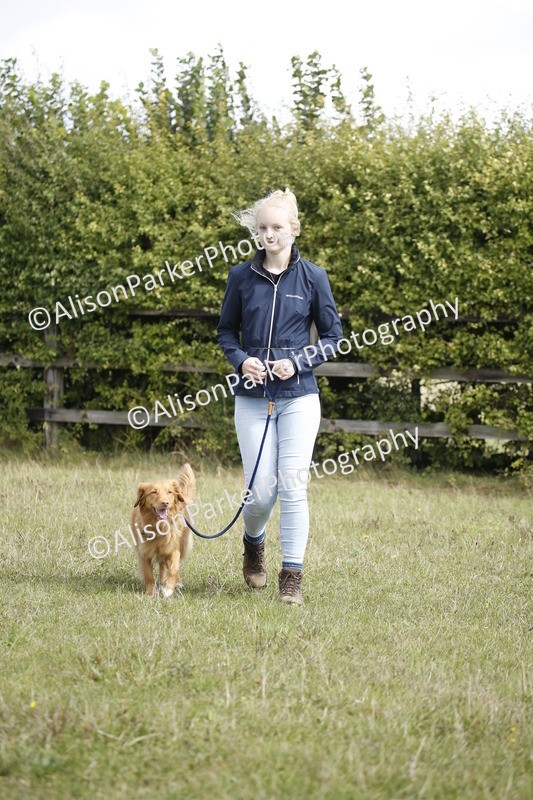 20250831-3763 - Dog Show
