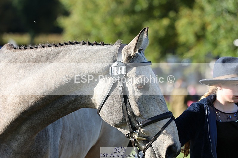 241027-094306-15460 - 388-Anaya.Stoneman-DUNTOATEE