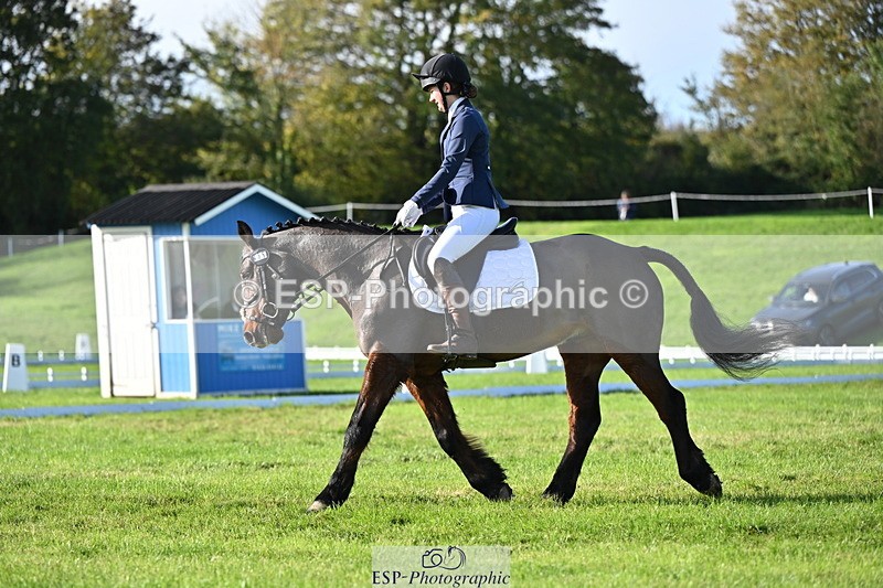 251024A-115511-09472 - F-466-Amber.Golley