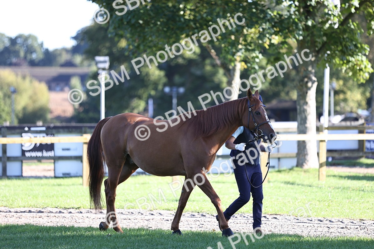 SBM_15687 - S1 - TSR in Hand Horse & Pony Showing