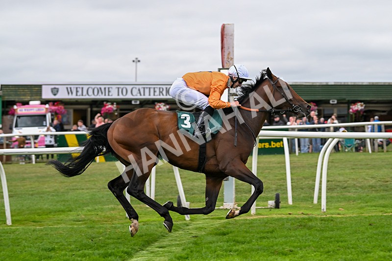 180825-Race 4-Alther Walden-8745 - Race 4