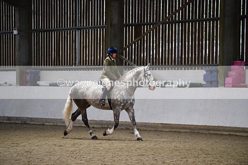 WJ5_8241 - Class 14 Novice Ridden/Rider