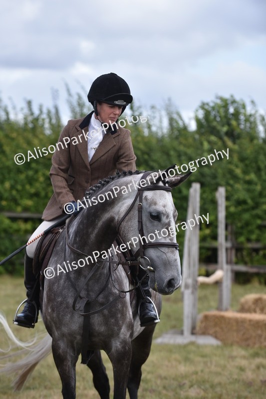 20250831-4138 - Class 13 - Working Hunter Horse or Pony