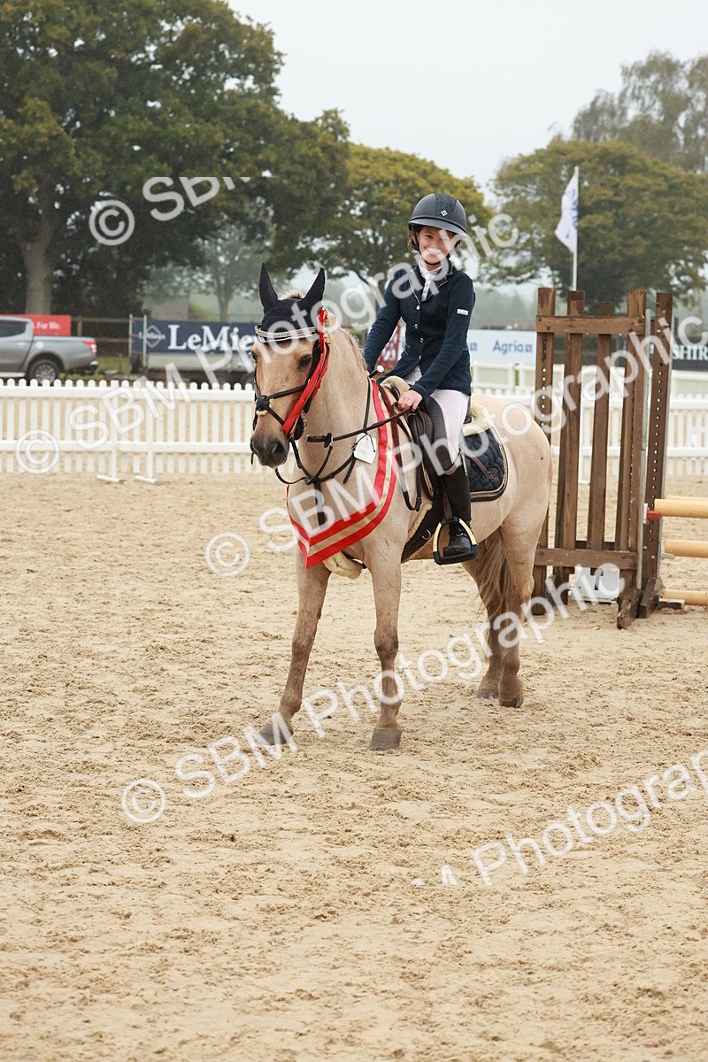 SBM_73488 - Supreme Championship Junior Pony 60cm & 65cm