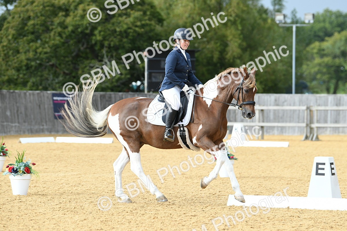 SBM_11065 - D28 Elementary Taster Elementary 42