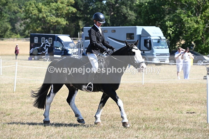 WJ6_8204 - Class 37a Best Loan Pony Ridden