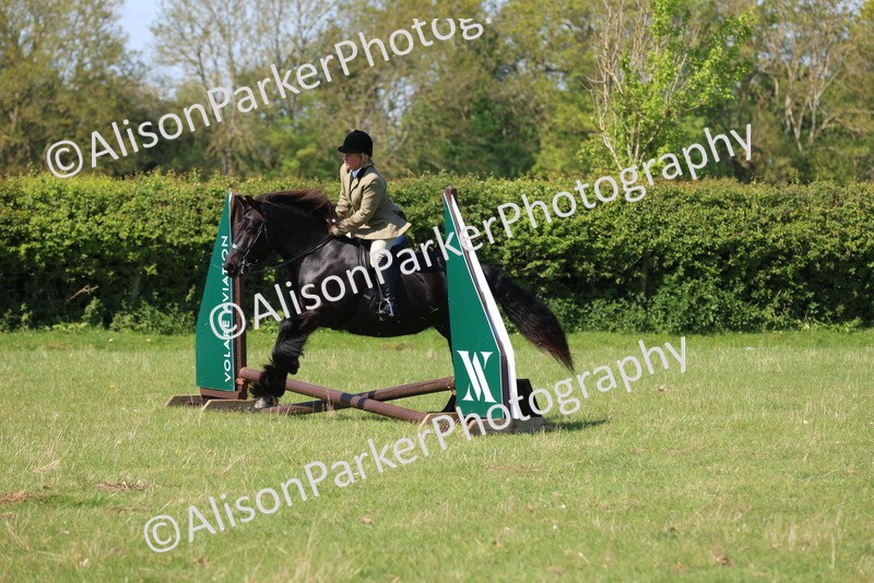 20250427-2446 - Class 19 - Mini Working Hunter