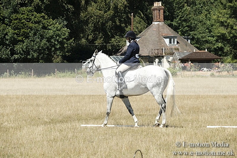 _PJP5903 - Dressage Classes BVRC Show 2018