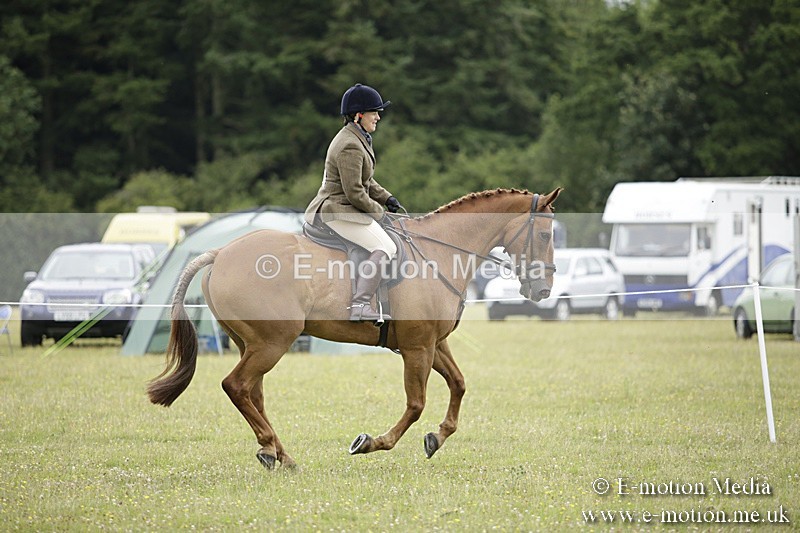 BVR160717-823 - Ring 1 BVRC Show 16/07/17