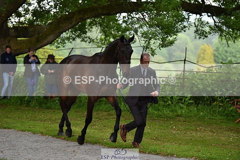 240522-151320-00175 - 316-LB_METTAPHOR-Tom_Rowland