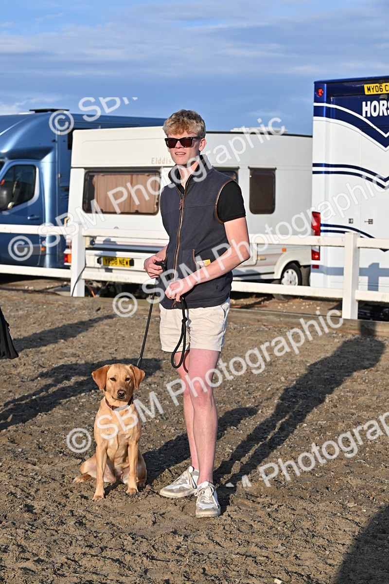 SBM_09449 - Lorry Dogs