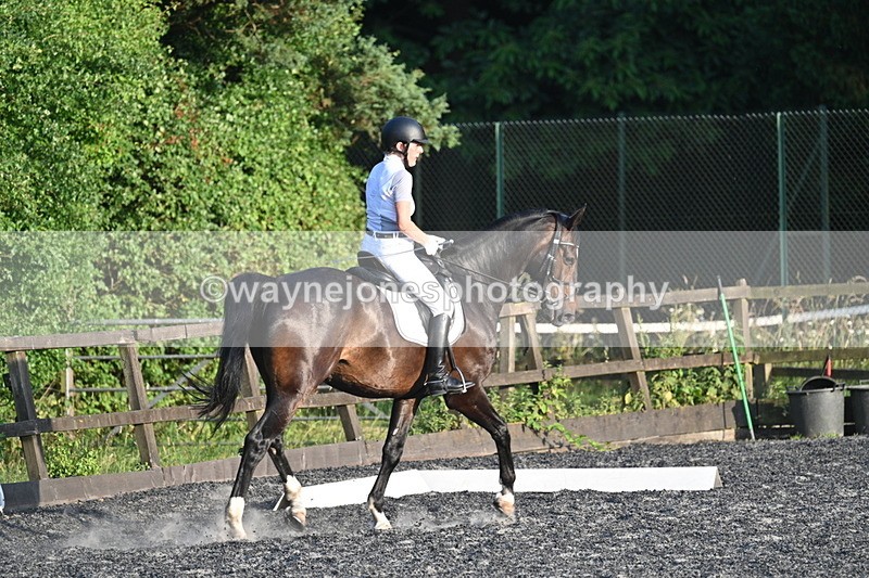 WJ7_0431 - Time 19:38 to 20:00