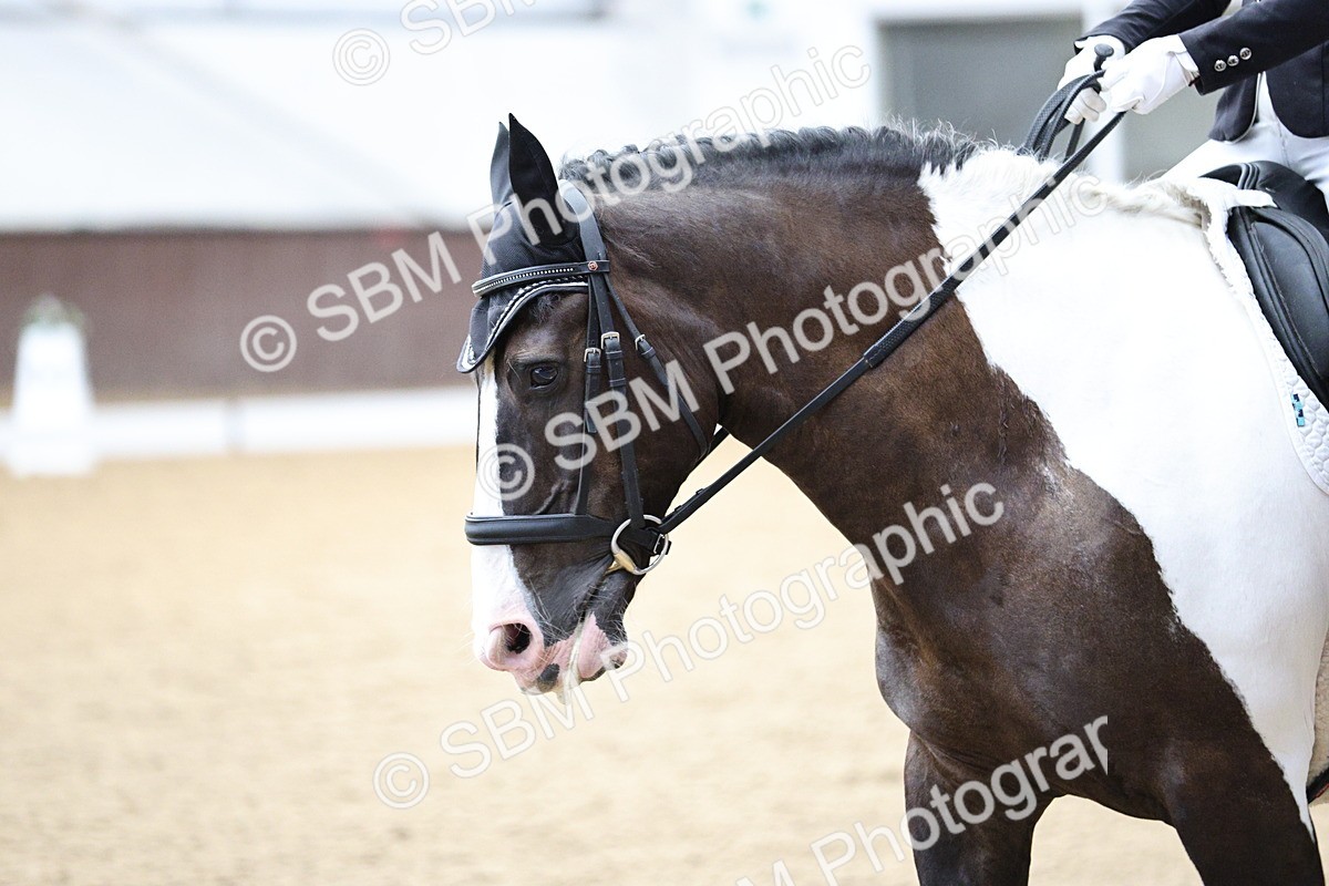 SBM_000084 - Class 1 - Prelim 5