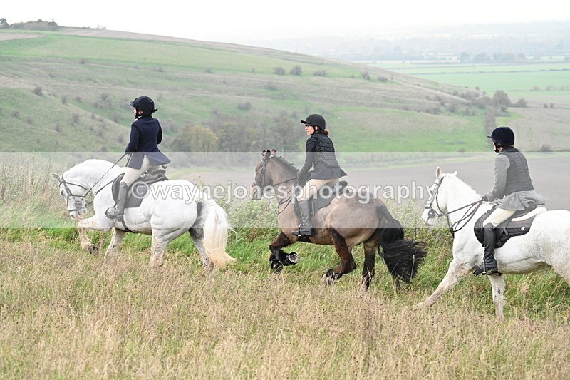 WJ7_0081 - Camera 1 & Last fence