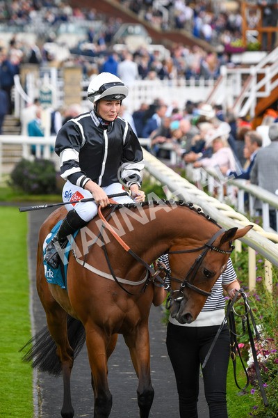 250823-Race 5-Reach-0841 - Race 5 4.10pm Assured Data Protection EBF Fillies' Handicap