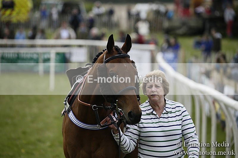 PtP 170417 225 - Old Berks Point-to-Point Lockinge 17/04/17