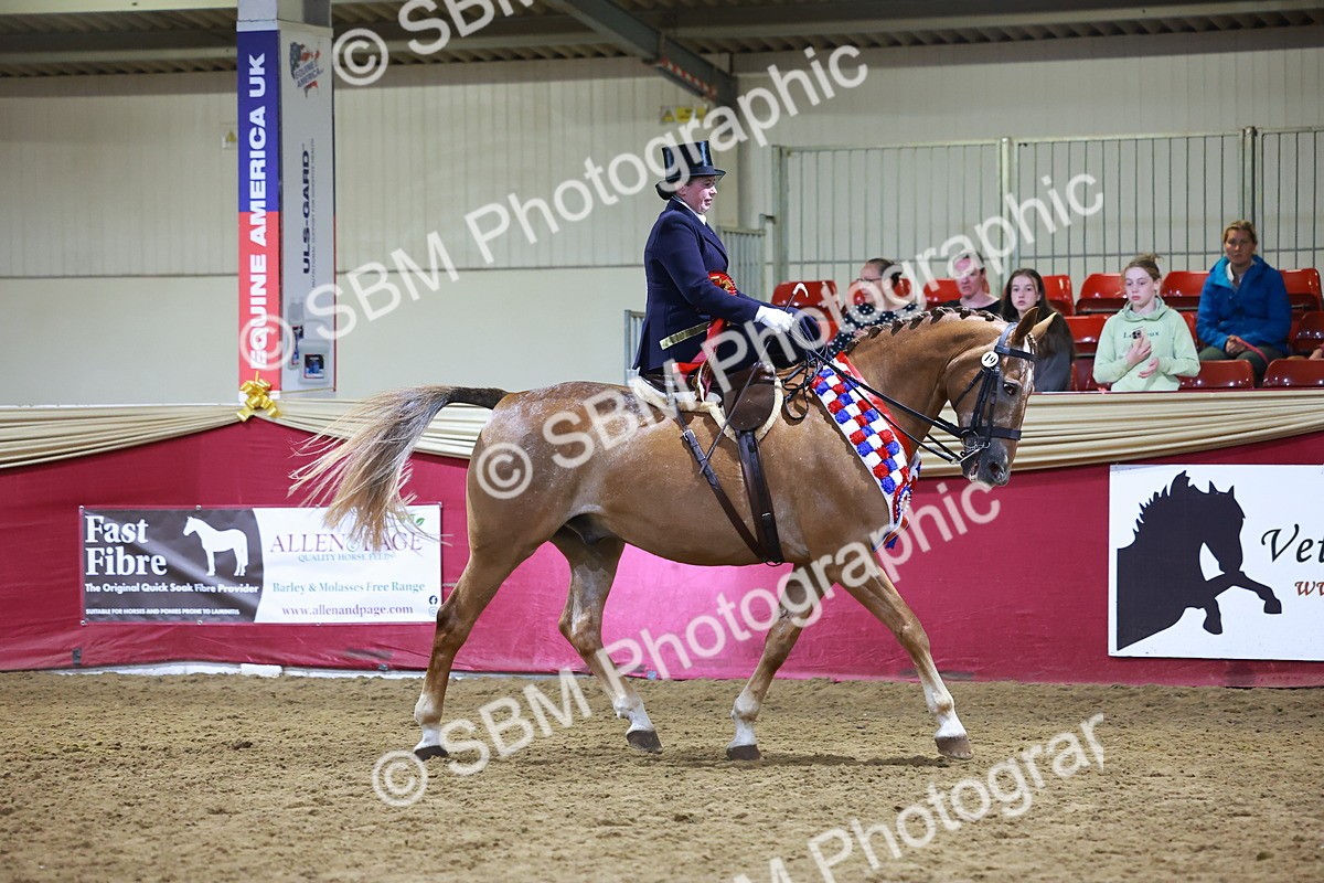 SBM_15758 - Class T - Working Veteran Champ