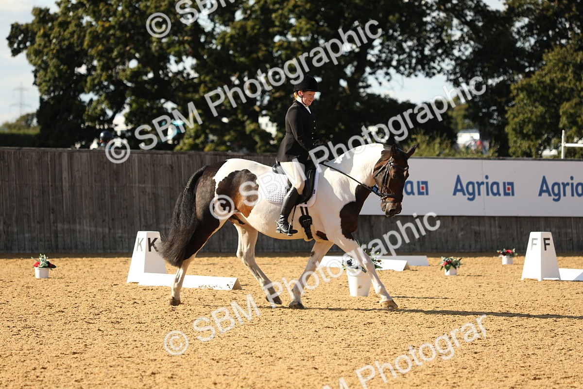 SBM_26843 - D17 - Grand Tour Championship - Novice 27