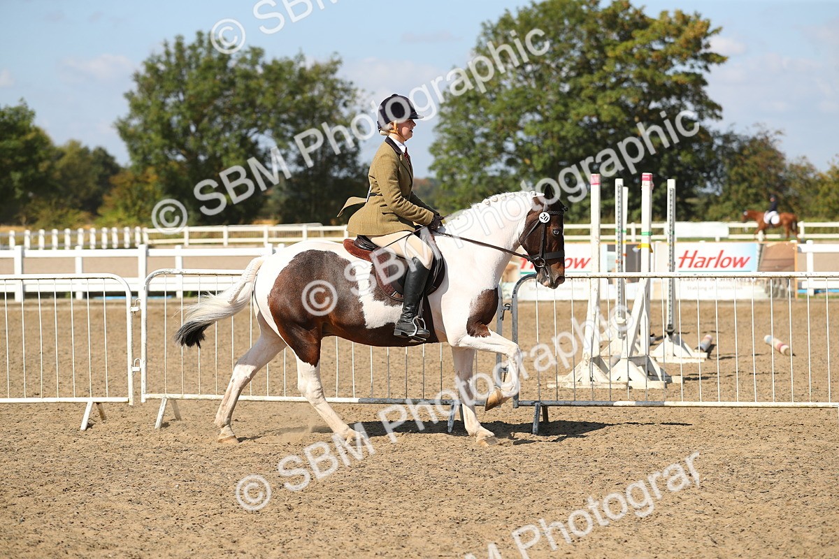 SBM_03127 - Class 44 Riding Club Horse/ Pony