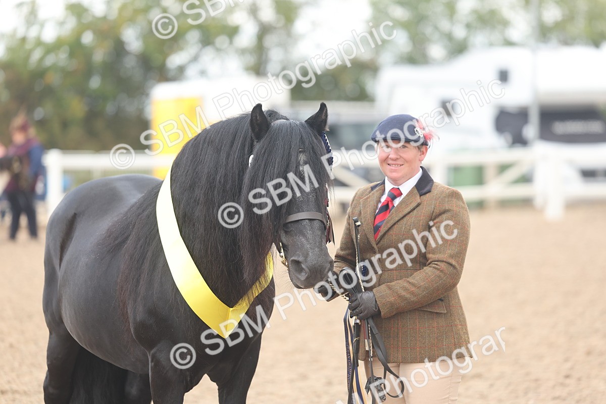 SBM_03299 - Class 16 - IH M&M Wildcard