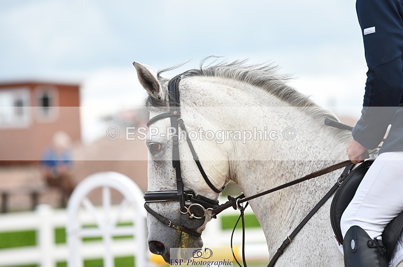 230830A-135720-00988 - Cls 4 Newcomers & Open