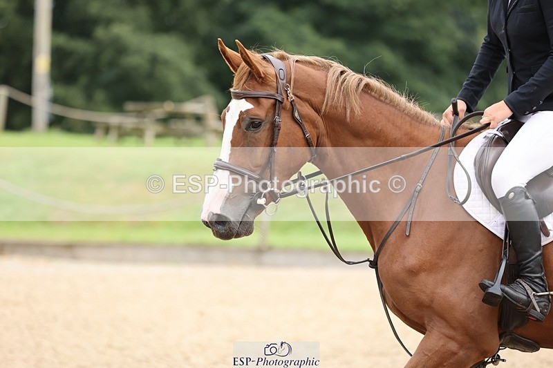 240817-083126-00031 - 01. Clear Round - 80cm