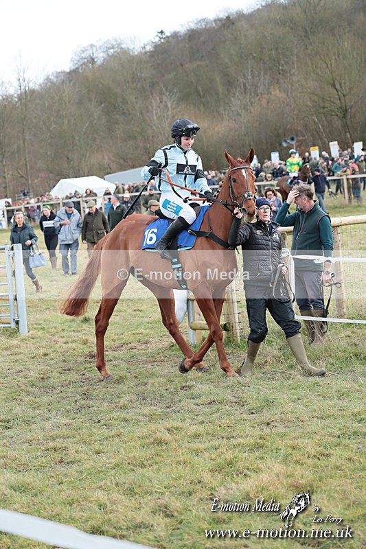 PtP 220225 214 - Kimblewick Point-to-Point  Kingston Blount 22/02/25
