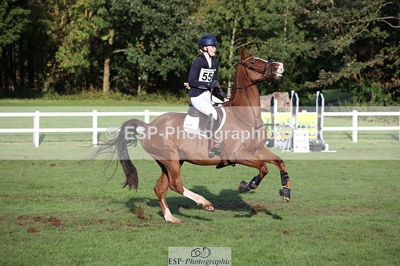 231022-160433-30091 - 556-SHANNONDALE.MOCHA-Lucy.Davies-TrotUp+SJ