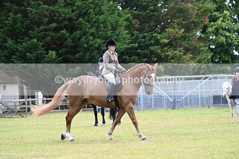 WJ7_9322 - Class 8 Ridden Veterans