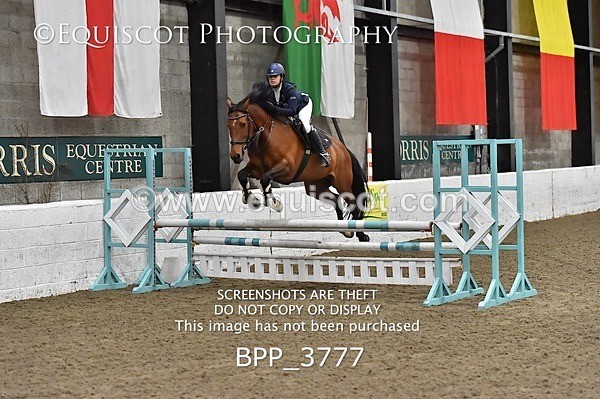 BPP_3777 - FRI CLASS 21 BR NOVICE/90CM