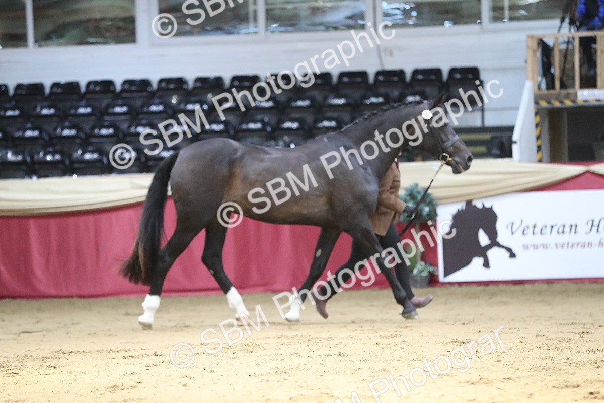 SBM_04397 - Class 7R Regional - IH Diamond