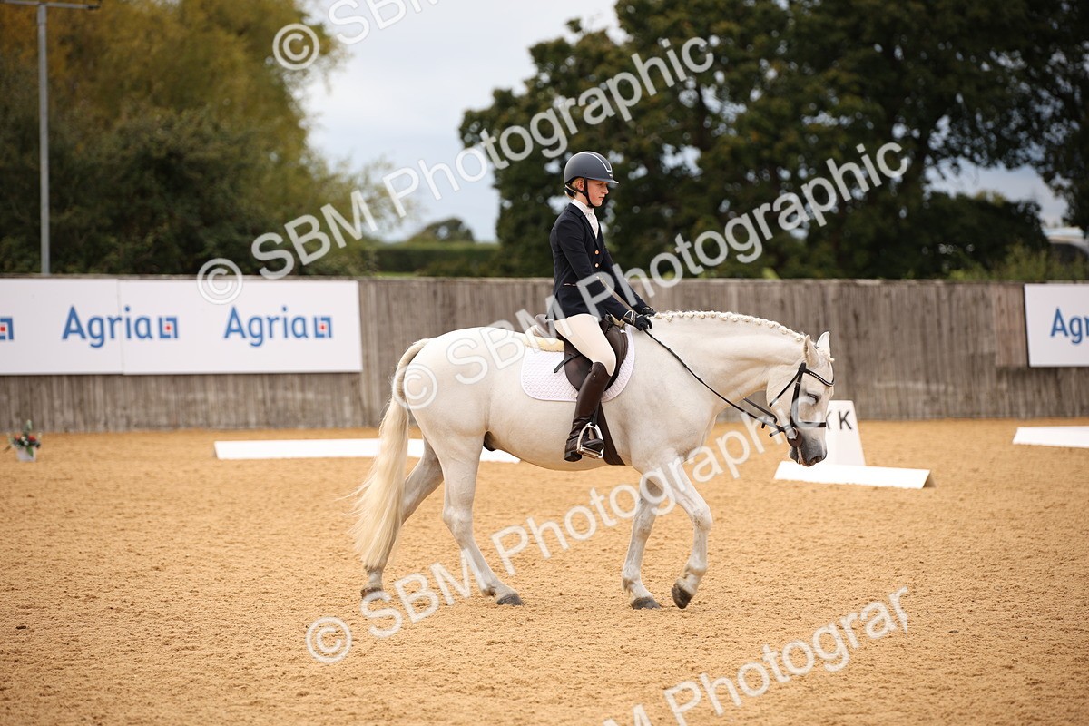 SBM_12251 - D3 Small  Tour Championship Intro A