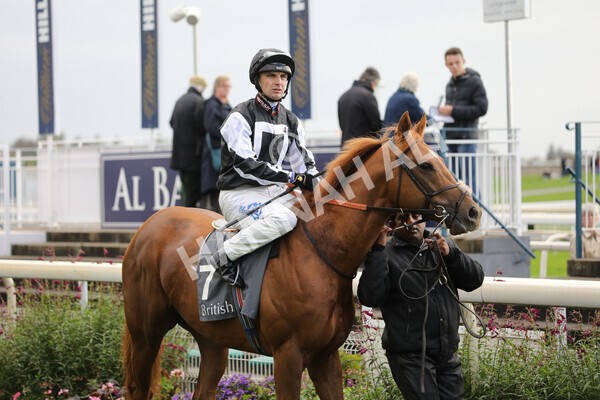 yr07102022r3-18 - Race 3 3.15pm British EBF £100,000 2yo Series Final (Colts and Geldings)