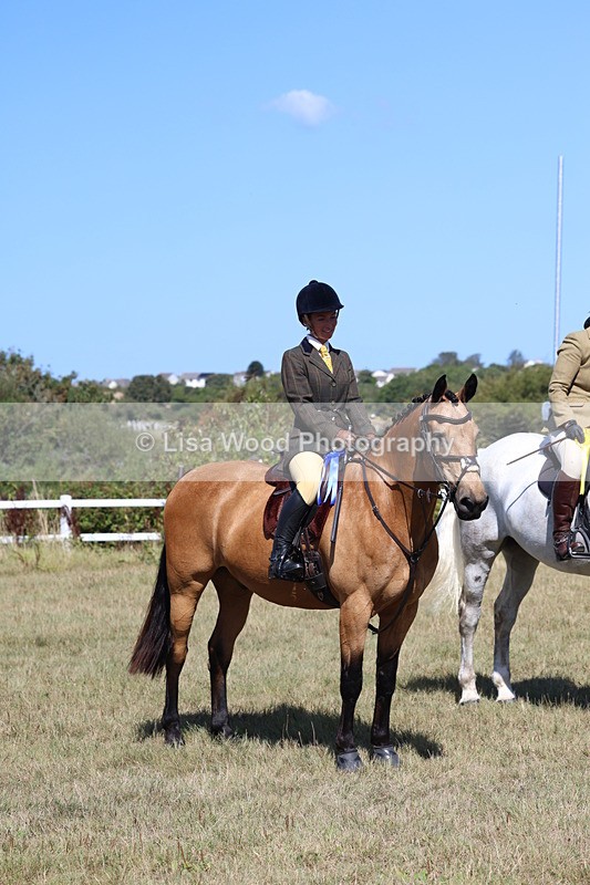 3E7A6295 - Class 6: Working Hunter 1m