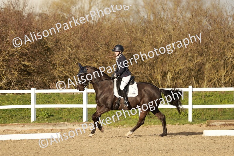 20260314-6338 - CT7 - Elementary 2