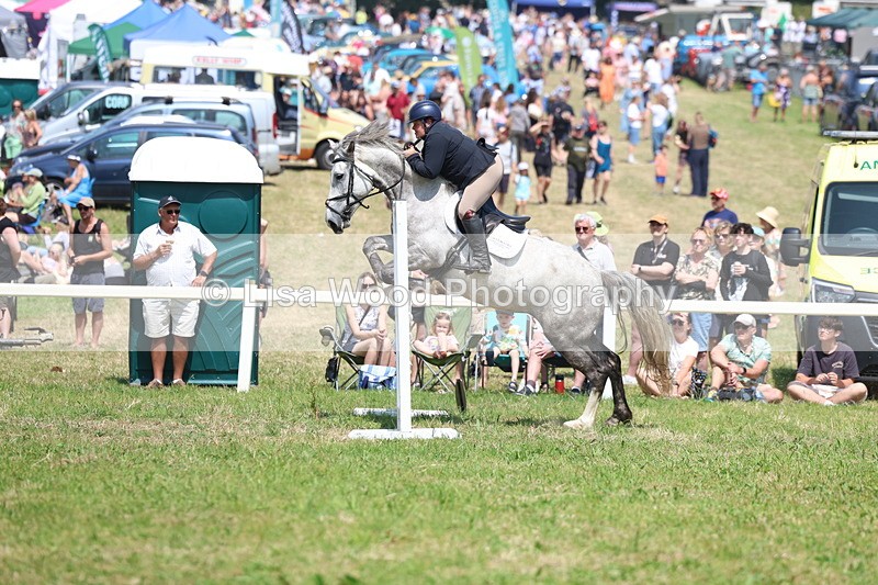 3E7A2925 - Class 7: Senior British Novice/90cm open