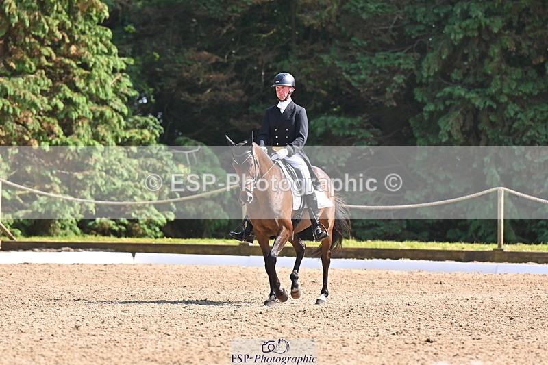 250523A-160329-07953 - B-373-Ben.Lee.Liles-FINCH.FANCY