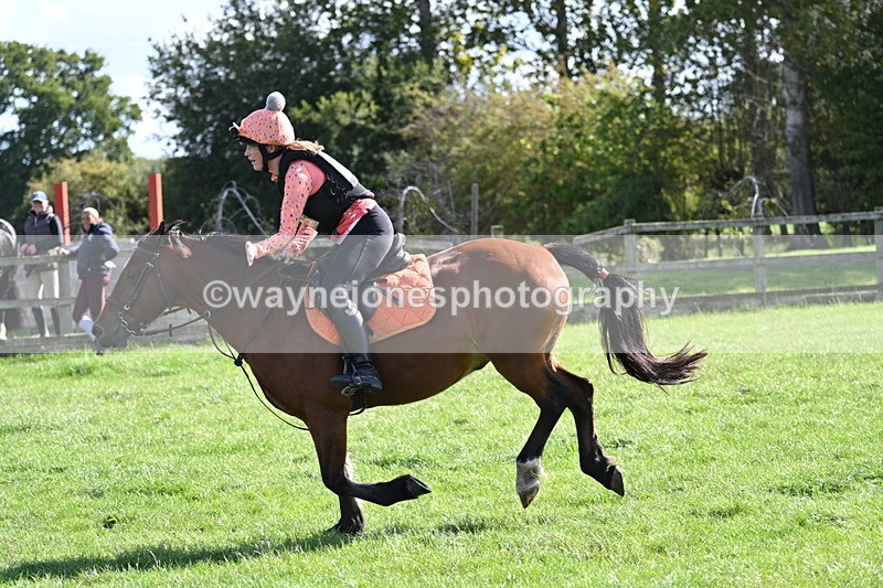 WJ7_1393 - Time 13:56 to 14:24