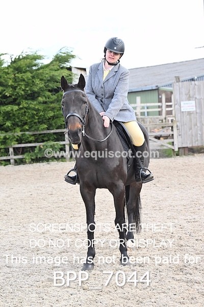 BPP_7044 - RING 1  (RIDDEN HORSES / IN HAND / VETERAN ETC)