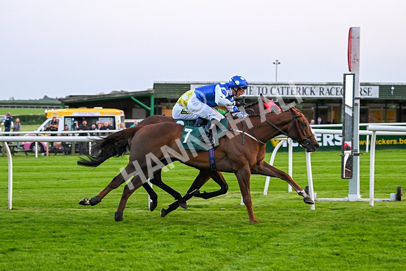 310524-Race 6-Mister Sox-9068 - Race 6