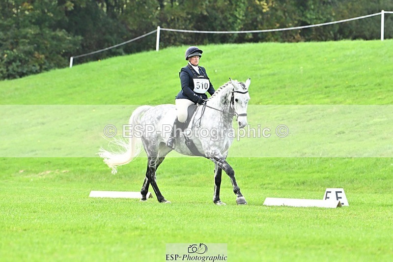 241024-115223-02516 - 510-Kathryn.Virjee-BROWNSTOWNS.SEAWATCH