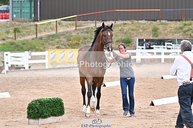 250716-164728-00761 - Trot Up 4.30 to 5.00