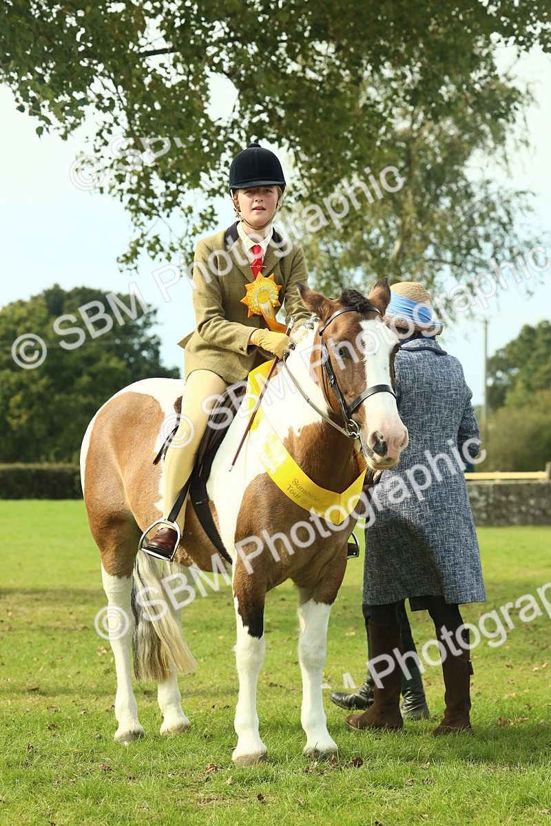 SBM_68136 - S57 - Part Bred Pony Ridden