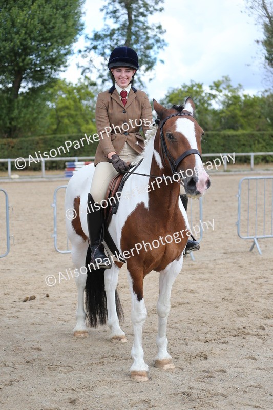 20260831-2753 - Class 16 and 17- Ridden Cob and Hunters