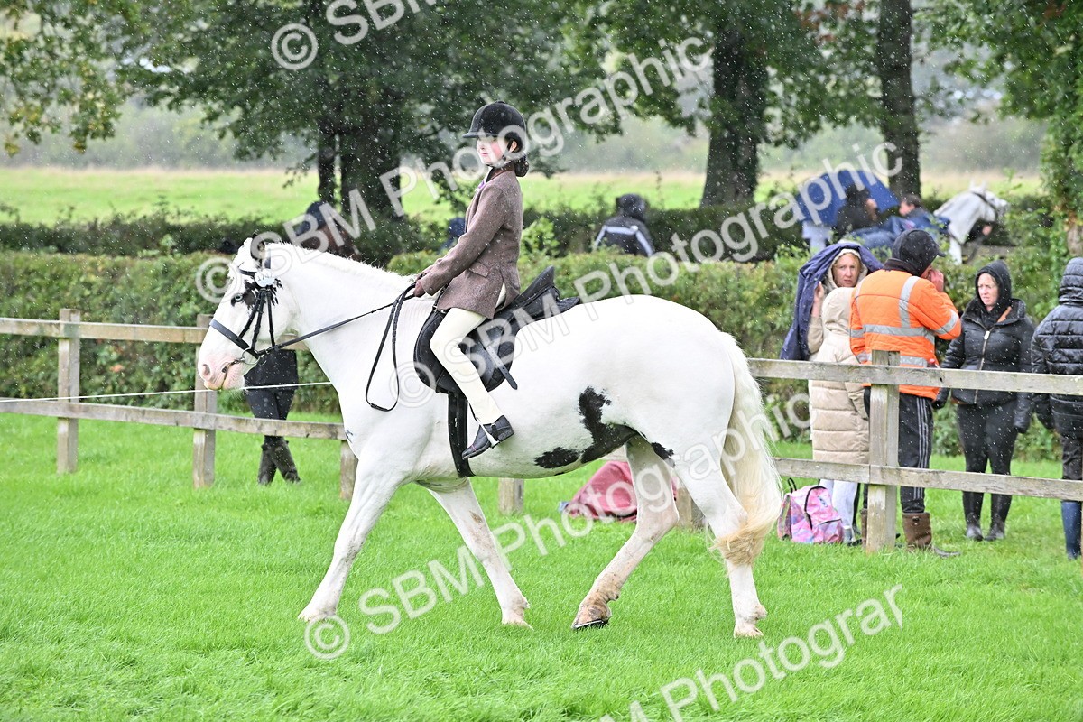 SBM_43025 - S12 - Family Horse & Pony